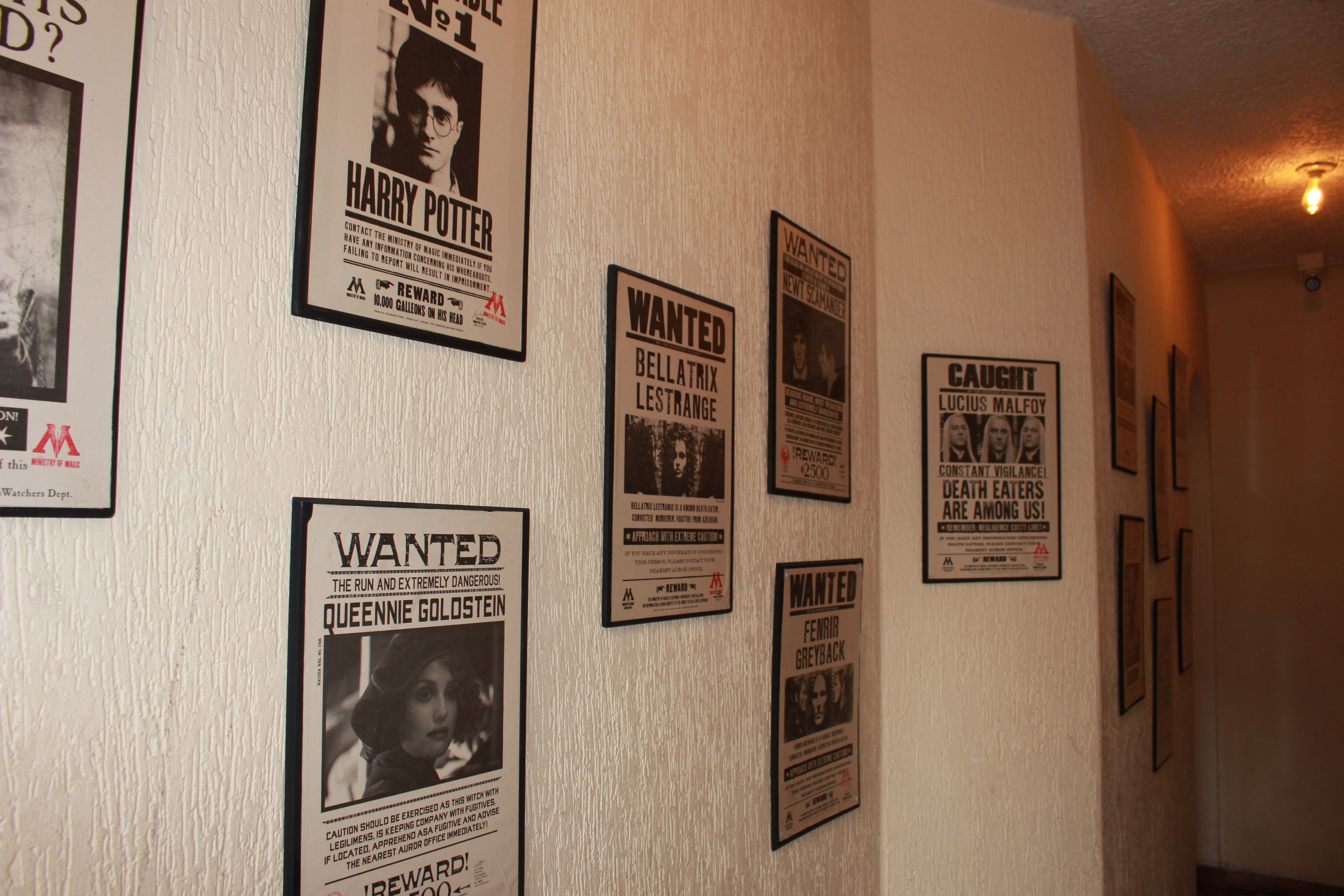 Posters de Harry Potter Posters en la entrada del café Momento Incantatem