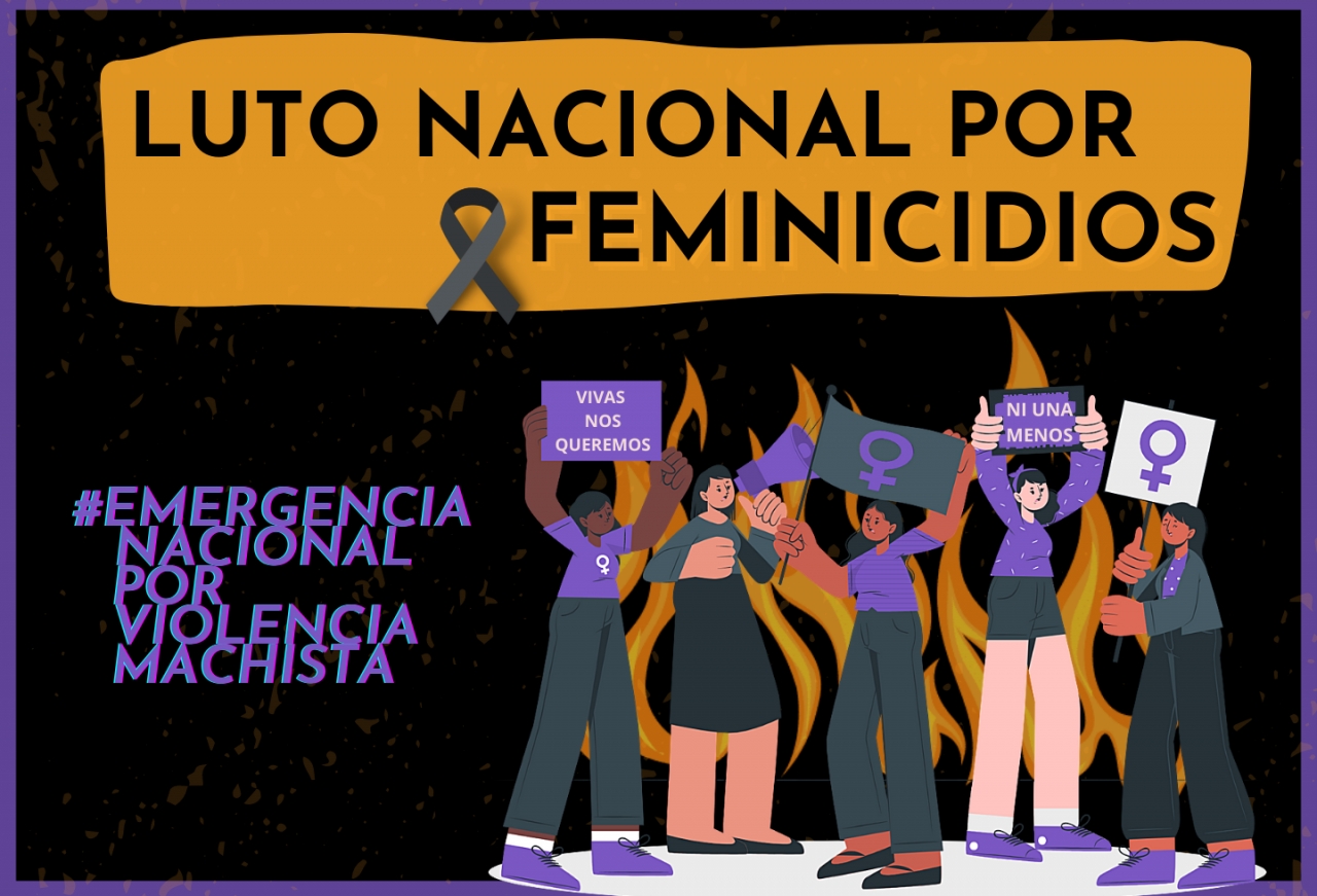 Mujeres y colectivas se articulan en nombre de la actual situación, pieza gráfica|||