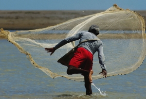 Abierto / Santuario de Fauna y Flora Los Flamencos, La Guajira, 2015.|Ahí viene el agua / Santuario de Fauna y Flora Los Flamencos, La Guajira, 2015|Donde la rama se tuerce / Santuario de Fauna y Flora Los Flamencos, La Guajira, 2015|Somos uno con el cielo / Santuario de Fauna y Flora Los Flamencos, La Guajira, 2015|Cerrado / Santuario de Fauna y Flora Los Flamencos, La Guajira, 2015|||