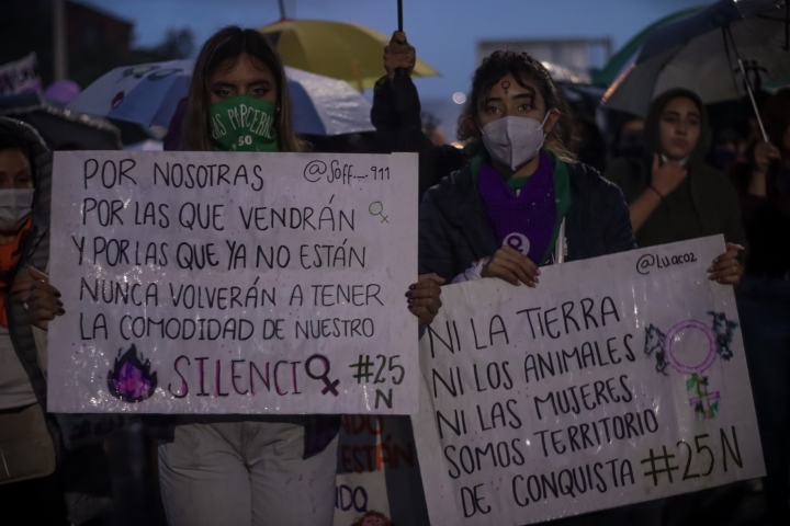 Marcha feminista un 25 de noviembre, d&iacute;a internacional de la eliminaci&oacute;n de la violencia contra la mujer.