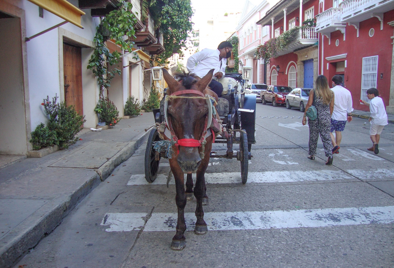 Coche en la ciudad de Cartagena.|||