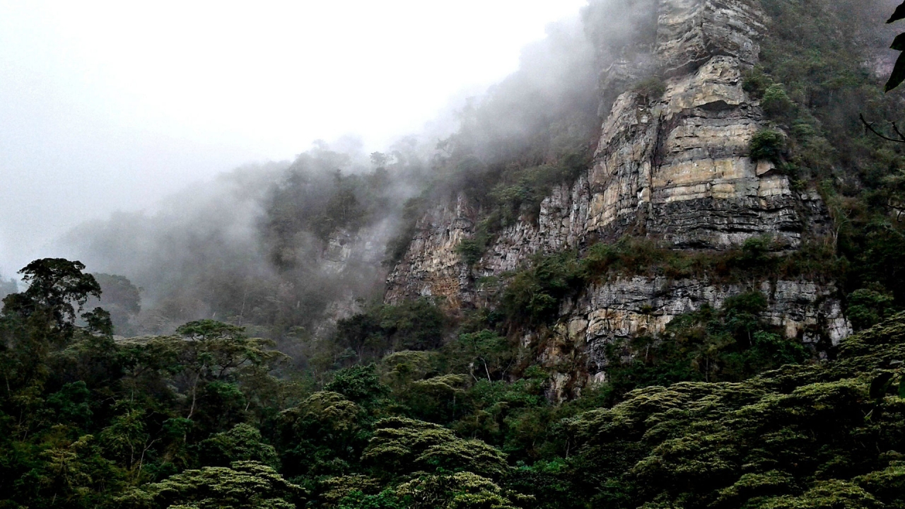 Quebrada las Delicias|Parque Natural los Juncales||||