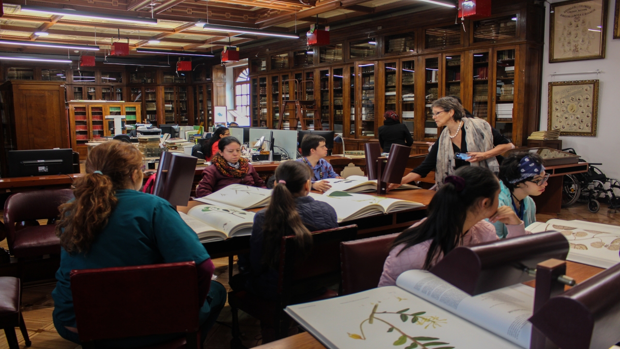 En la clase de expedición botánica los estudiantes, aprenden sobre turismo accesible e incluyente aprovechando los espacios patrimoniales del claustro de la Universidad del Rosario|El acompañamiento a los estudiantes de &#039;Transición es Crecer&#039; es fundamental|Los alumnos realizan pasantías laborales en diferentes lugares de la Universidad del Rosario|Estudiantes programa &#039;Transición es Crecer&#039;|||