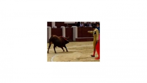 Actualmente, la tauromaquia se practica en menos de 10 países. Colombia es uno de éstos.|||