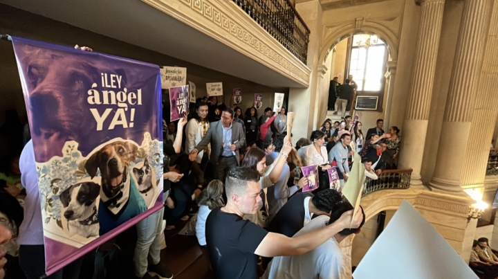 Día de la aprobación de la Ley Ángel en el Congreso de la República. En la foto, los colectivos animalistas que acompañaron el debate .