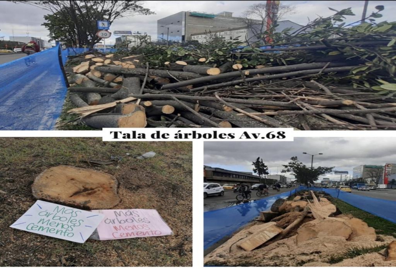 Tala de árboles en Bogotá, por la Avenida 68 el pasado13 de abril.|||