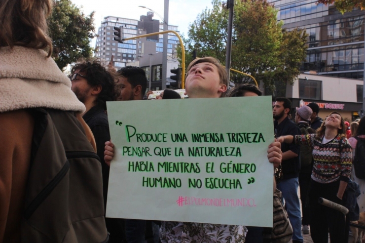 Plant&oacute;n por la Amazon&iacute;a: &iexcl;alto a los ecocidios!