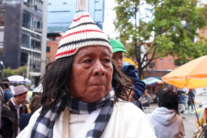 Plant&oacute;n por la Amazon&iacute;a: &iexcl;alto a los ecocidios!