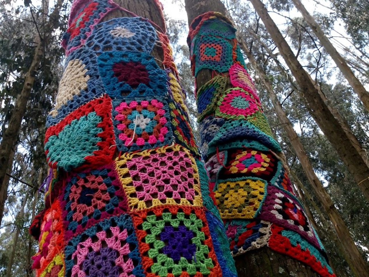 Tejidos en el parque San Jerónimo de Yuste|||