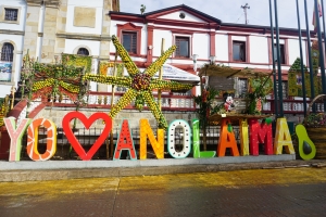 El letrero &quot;Yo amo Anolaima&quot; del parque central se adorna con las figuras hechas con frutas|Dragón hecho con frutas|Los campesinos anolaimunos realizan un buey grande con naranjas y mandarinas.|||