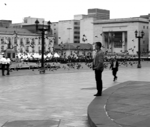 Palomas en la Plaza de Simón Bolívar. Crédito de la foto: Fátima Martínez|Puesto número 45 de votación ubicado en el Congreso de la República de Colombia|Álvaro Uribe, ex presidente de la República, cierra los ojos después de haber ejercido su derecho al voto|Retrato a Álvaro Uribe frente a la prensa en el Congreso de la República|Dos jóvenes periodistas colombianas graban con el teléfono móvil desde el Congreso de la República|Una periodista colombiana llamada Liliana, presentadora de France 24 horas, retransmite en directo desde el Congreso de la República|Imagen de la fachada del Congreso de la República de Colombia|Un periodista entrevista a Yolima Carrillo, presidenta del Consejo Nacional Electoral, en la Plaza de Bolívar|Imagen de la Catedral Primada de Colombia|Imagen de la fachada del Palacio de Justicia|||