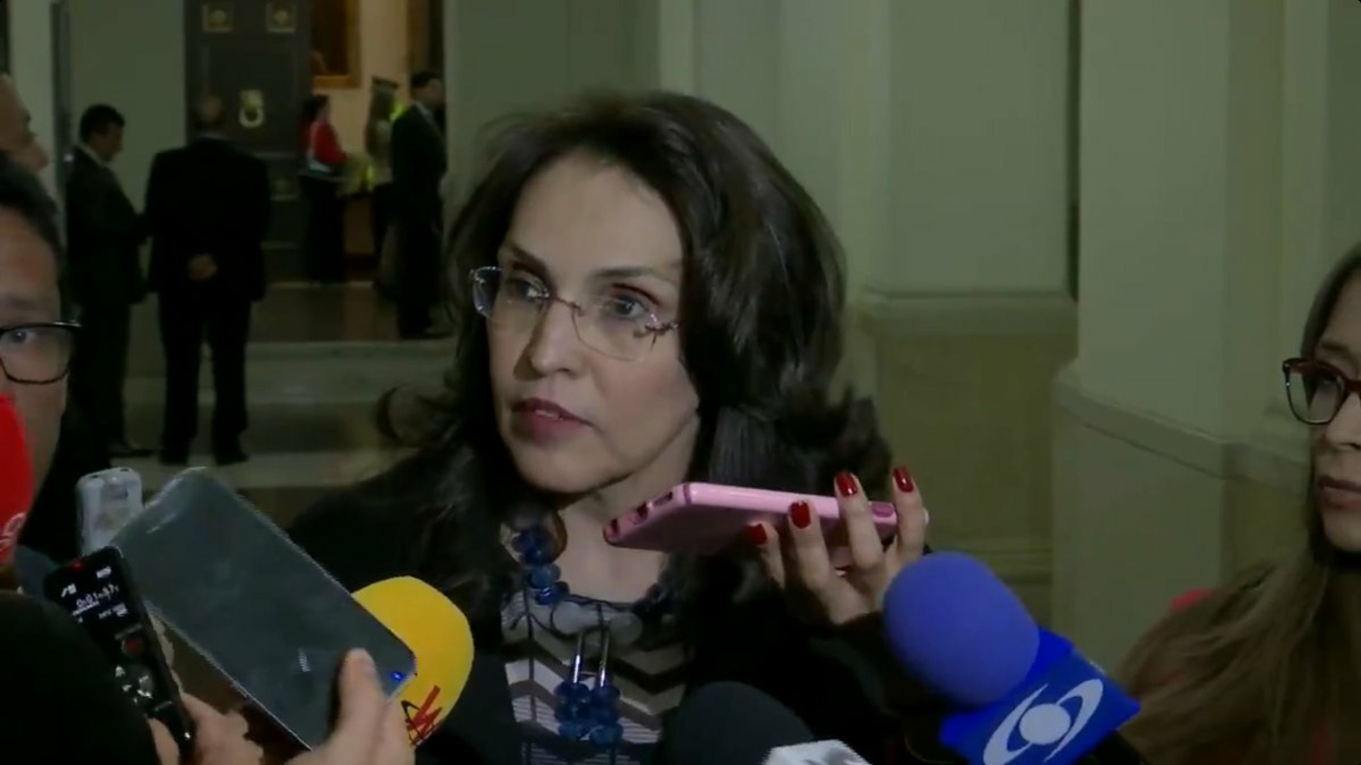 Senadora Viviane Morales realizando las declaraciones sobre el proyecto de ley.||||