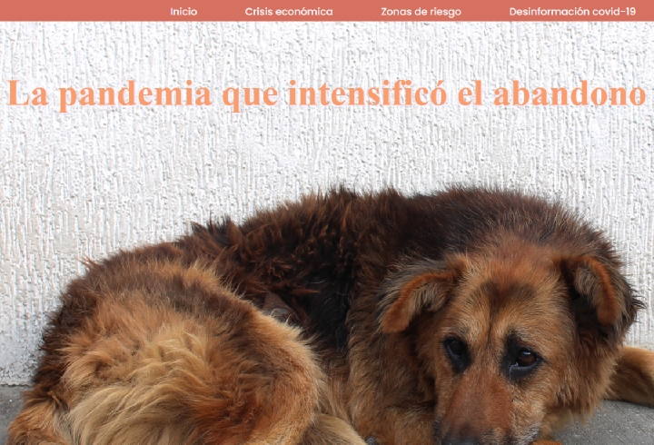 La pandemia que intensific&oacute; el abandono