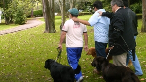 Perros lazarillos.|||