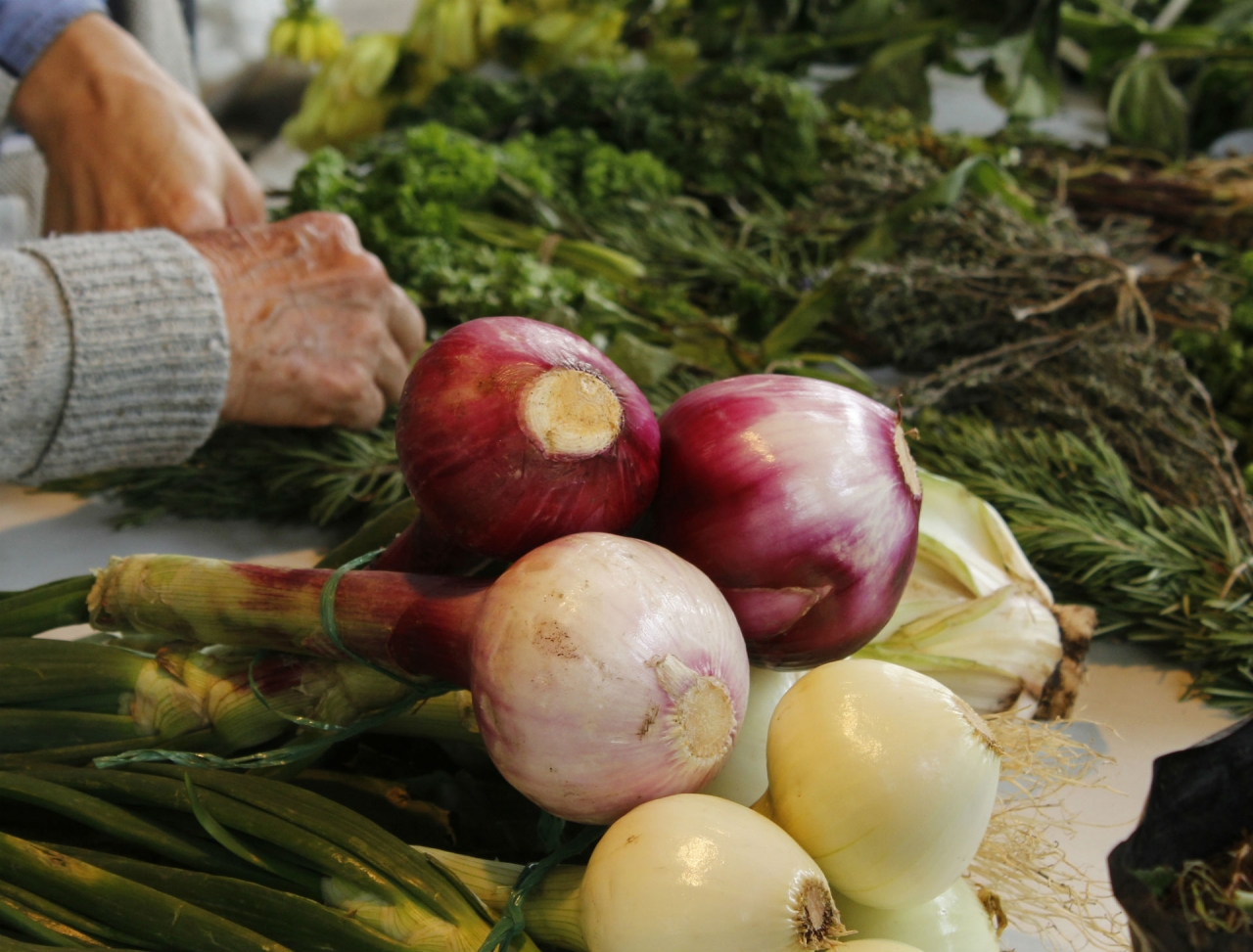 Material orgánico para los visitantes del Jardín Botánico|Visitantes en el Aula Ambiental|Entrega de planta a asistente a taller de compostaje|Abono|Plantas para los visitantes|Instructora del Jardín Botánico|Exposición &#039;Espíritus del bosque&#039;|Pieza de Miguel Calderón||||