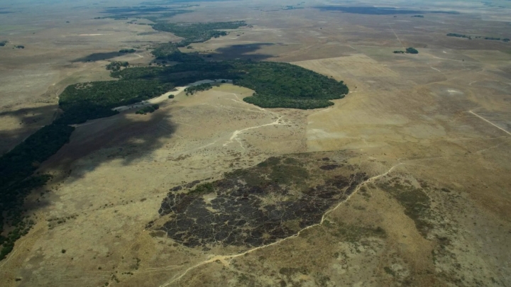 La Amazon&iacute;a podr&iacute;a convertirse en una sabana por r&aacute;pido avance de deforestaci&oacute;n