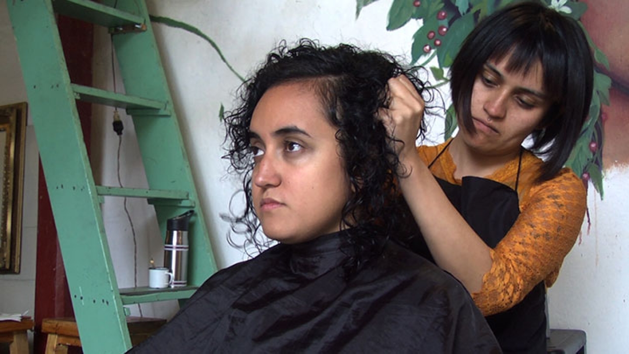 La peluqueria||||