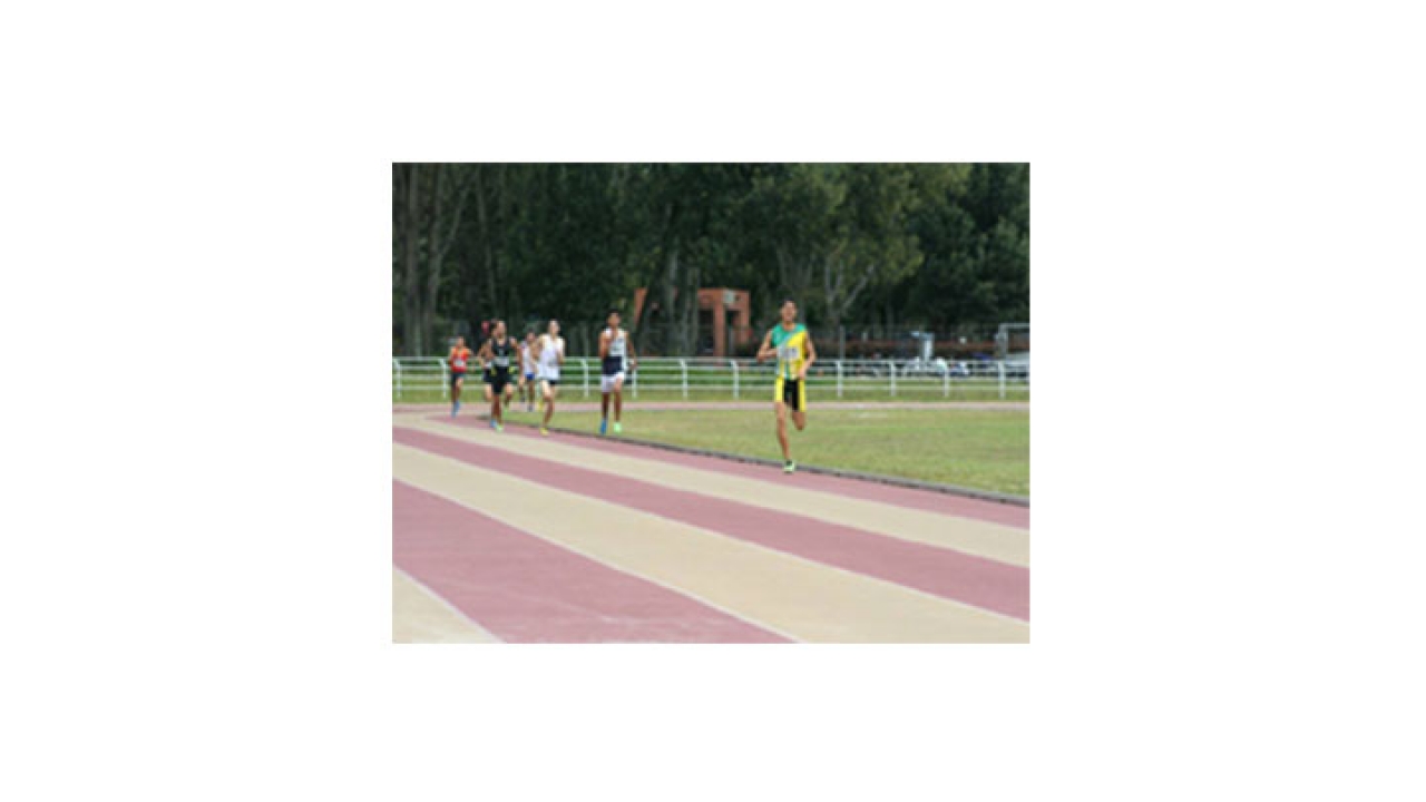 Final 800 metros planos.|||