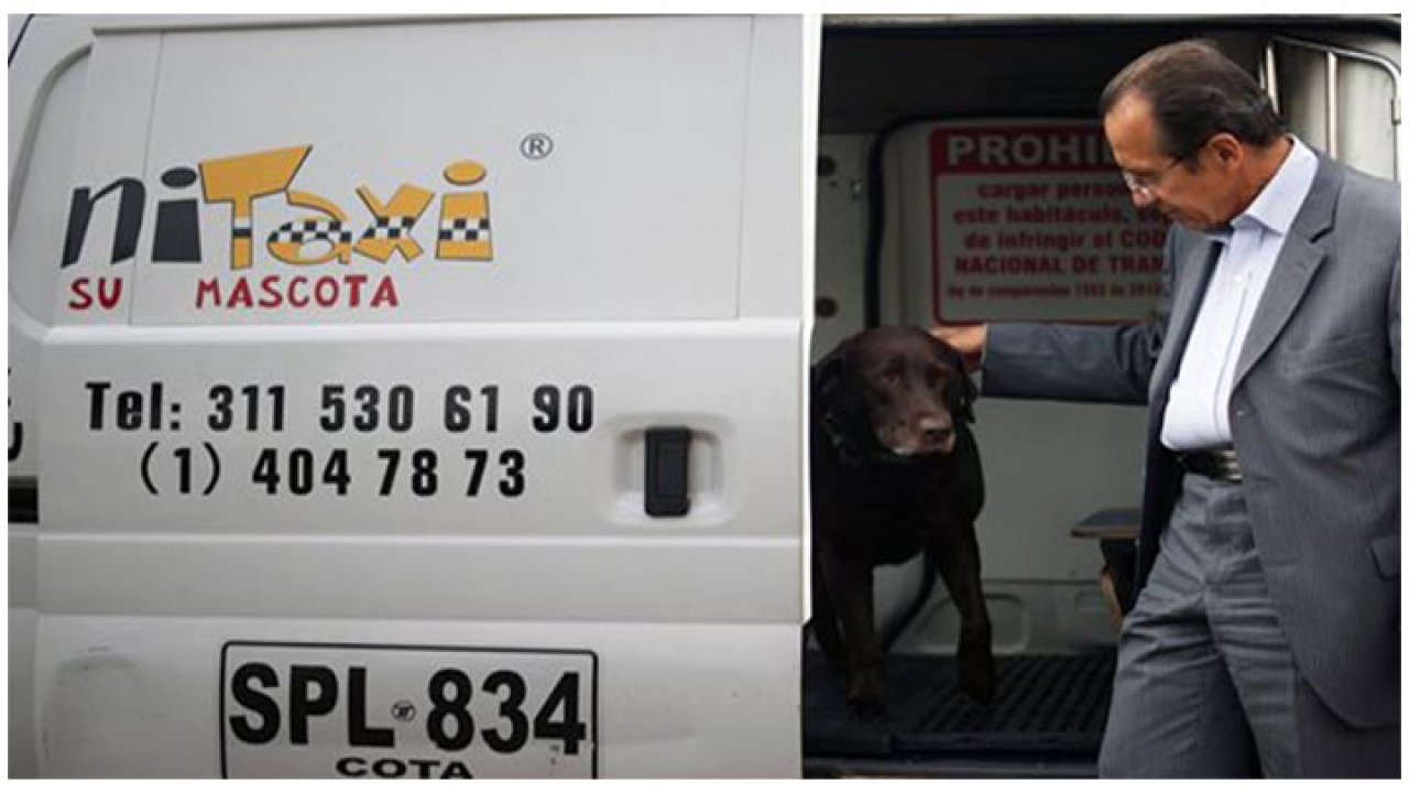 Taxi para su mascota