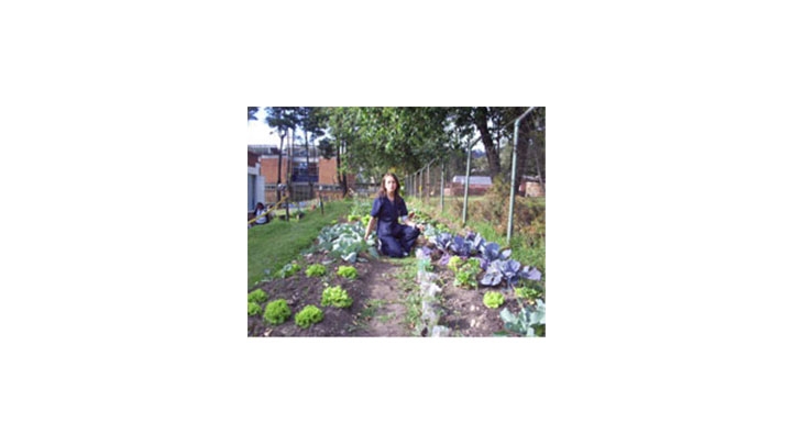 Huerta Agroecol&oacute;gica Oriental. Localidad de Usaquen- Centro de Desarrollo Comunitario Sim&oacute;n Bol&iacute;var. Profesora Lily Hernandez.