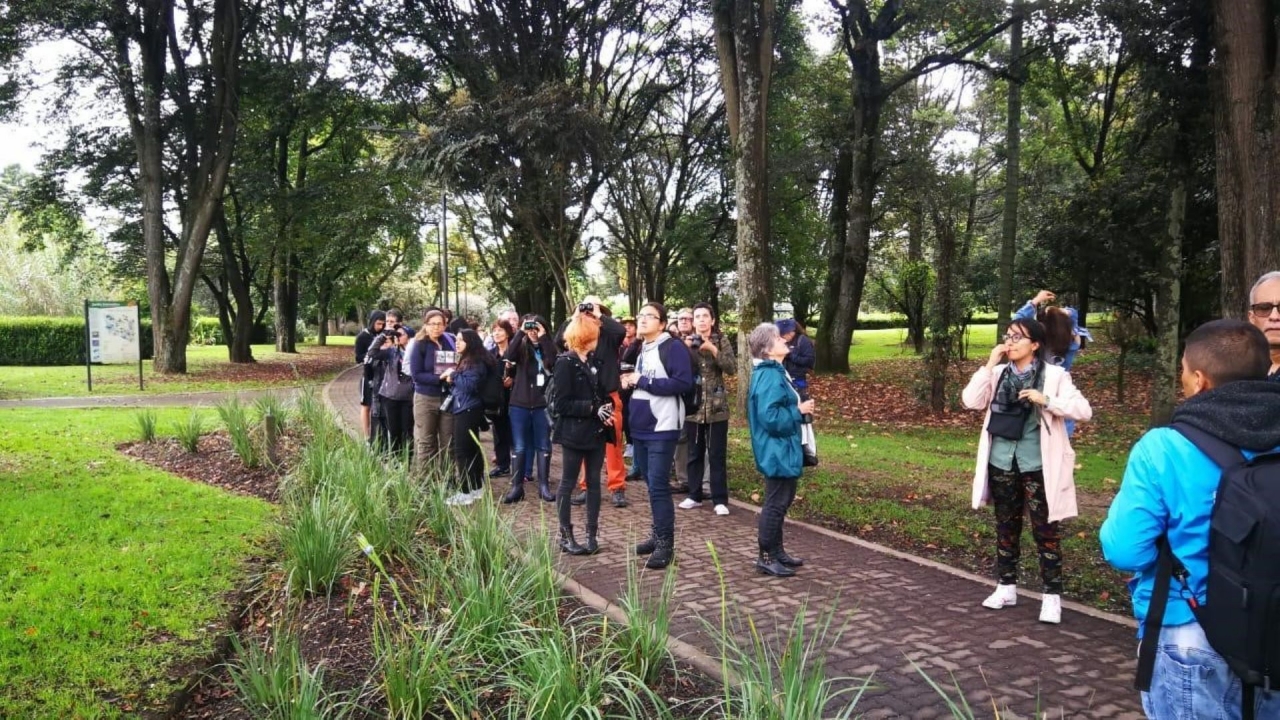 Personas recorrieron diferentes humedales y parques de la capital desde la madrugada para visualizar la mayor cantidad de aves posible.|||