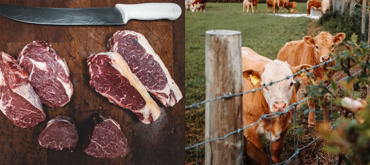 Dejar de comer carne, ¿una opción para salvar el mundo?