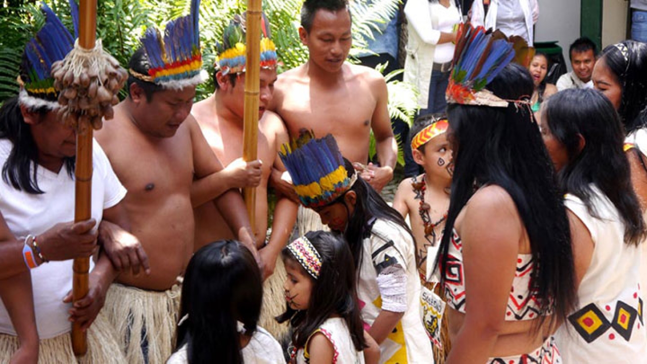 Bailes, comida y libros hicieron parte del evento de las comunidades nativas|Tres hombre pertecientes al pueblo indígena Uitoto se preparan para hacer una  danza ritual, en conmemoración del Día Nacional de las Lenguas Nativas.|El chaman Uitoto  da inicio a la danza ritual a través de cantos sagrados.|La danza ritual del pueblo Uitoto inicia y los hombres y  las mujeres danzan al rededor de los niños de su comunidad.|Una de las mujeres del grupo se desplaza danzando al centro del grupo para indicarle a los niños como deben danzar.|Todos los mienbros de la comunidad Uitoto se deplazan danzando y cantando al rededor del patio central del Instituto Caro y Cuervo.|Un niña Uitoto sonrie al danzar y cantar junto a los mienbros de su comunidad.|Un hombre lleva plasmado en su piel un simbolo sagrado de la comunidad Uitoto.|||