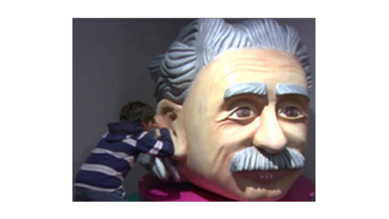 Conozca al verdadero Einstein