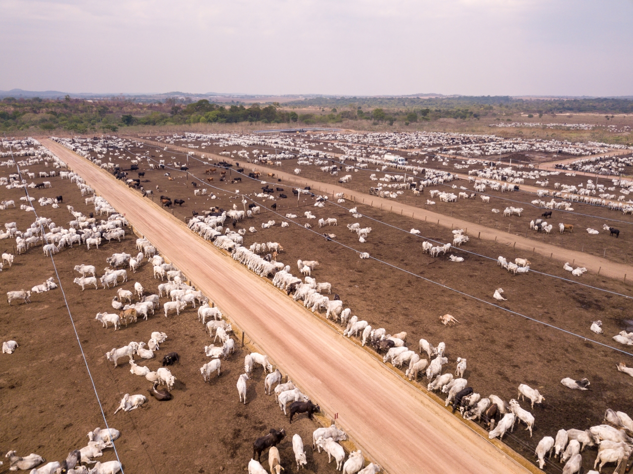 Gran parte de las emisiones de gases efecto invernadero que produce Colombia vienen del sector agropecuario, que promueve la deforestación y prácticas no sostenibles con los suelos.|||