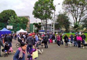 Jornada de esterilización en El Barrio Santa Cecilia de Engativá.|||