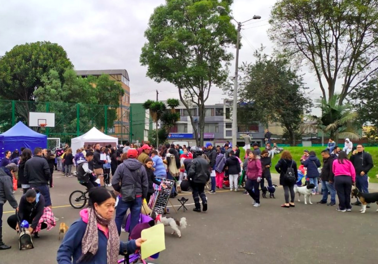 Jornada de esterilización en El Barrio Santa Cecilia de Engativá.|||