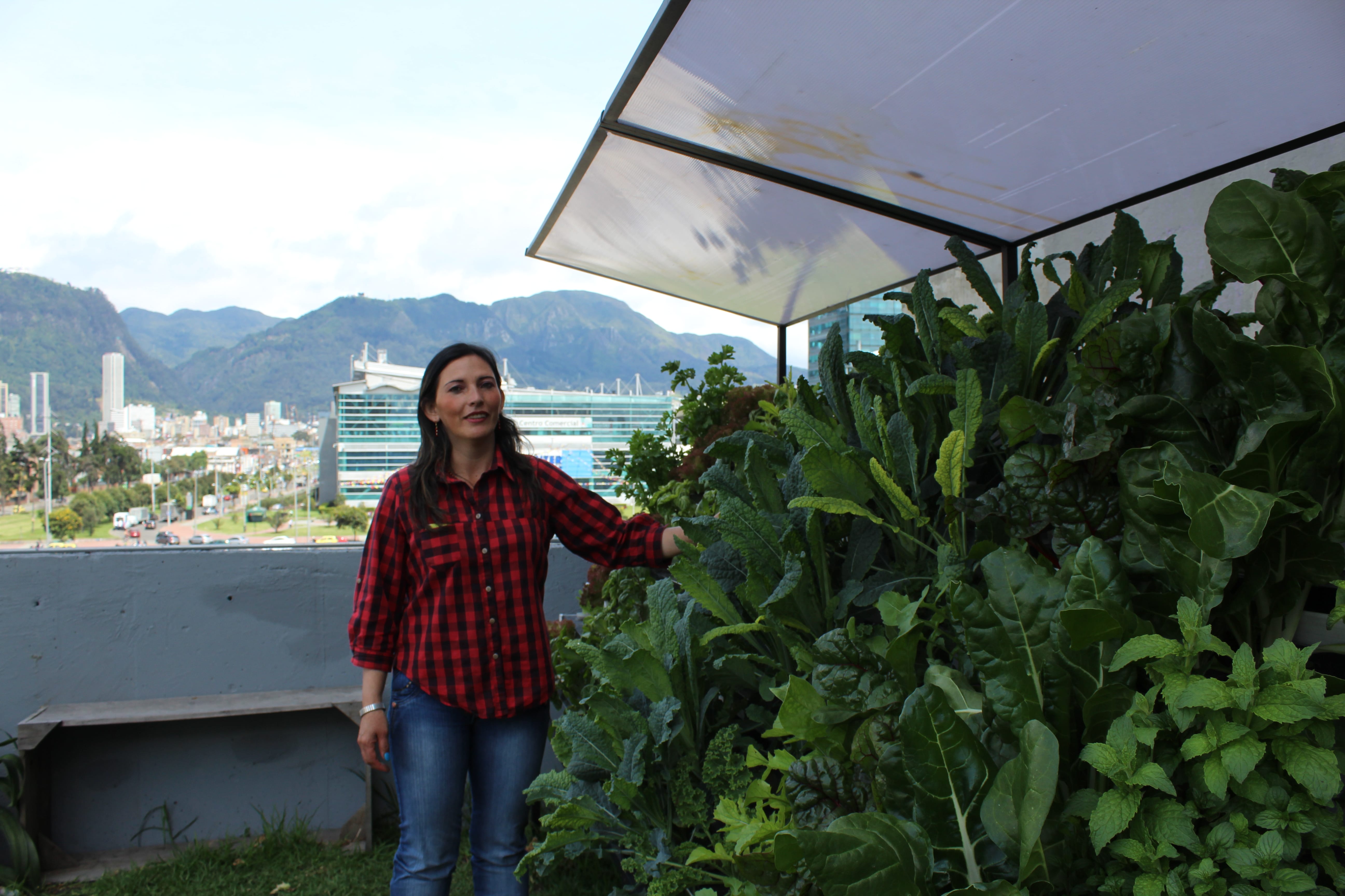  Mujeres de la Hoja siembran en sus terrazas