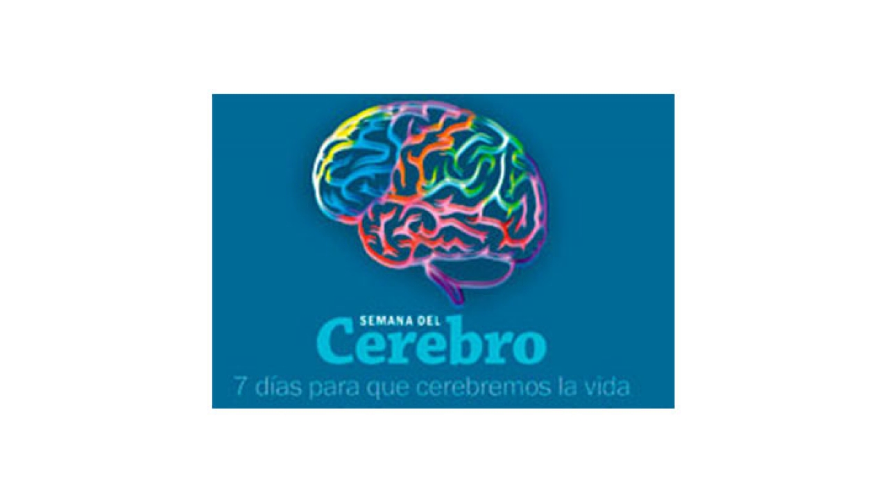 Logo semana del cerebro|||