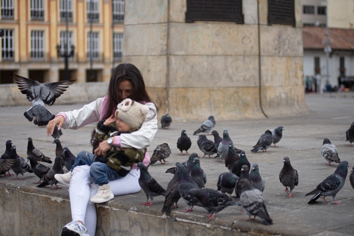 Palomas en el limbo: el abandono silencioso en Bogotá