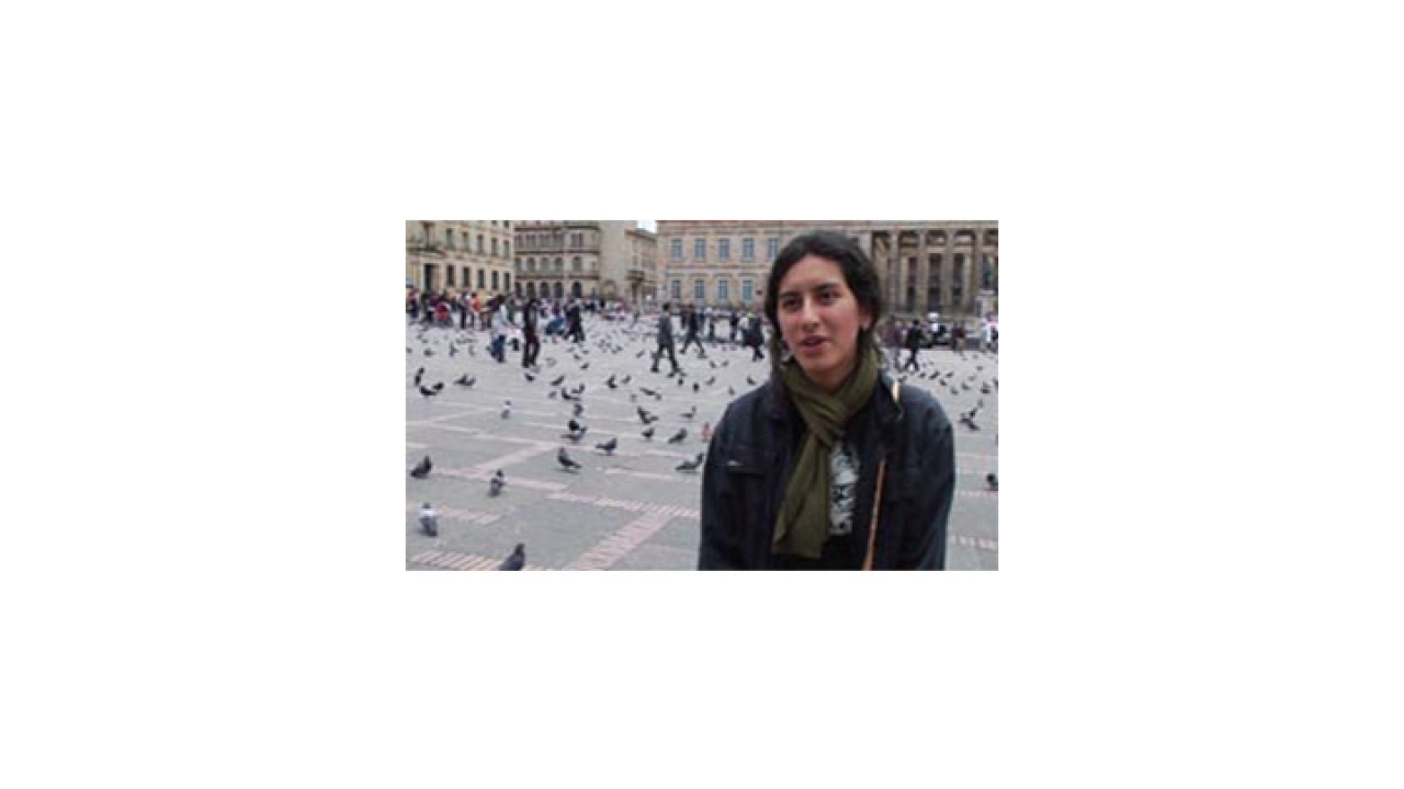 Los estudiantes universitarios que estén realizando las prácticas deberán ser remunerados e incluidos en el sistema de Seguridad Social Integral.|||