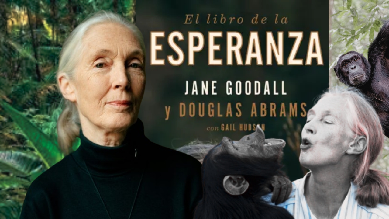 Jane Goodall&nbsp;&nbsp;&nbsp;|||
