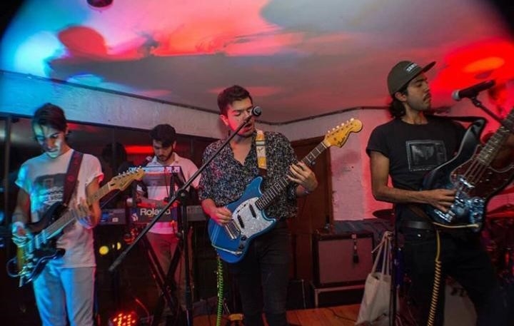 Piel Camale&oacute;n en vivo.