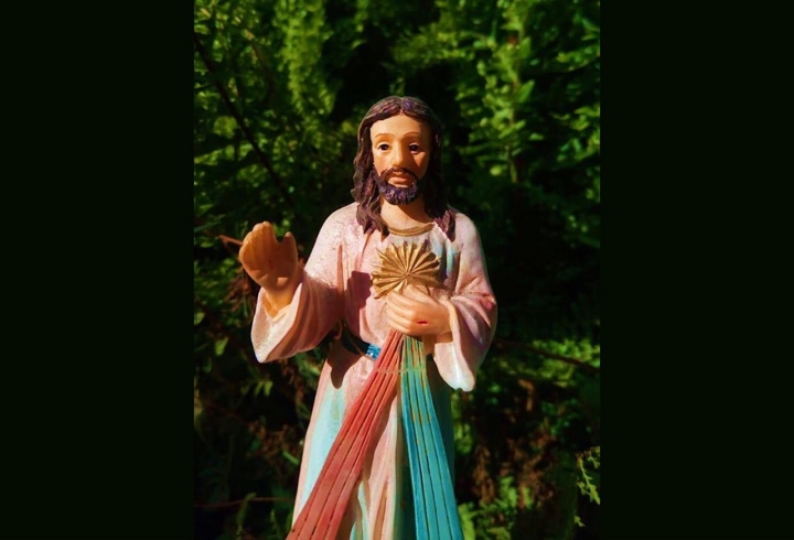 Esperanza como s&iacute;mbolo de vida eterna.Figura entre la naturaleza de Jes&uacute;s misericordioso. Una postal precisa con la luz, que otorg&oacute; la vida del Se&ntilde;or. La &uacute;ltima foto est&aacute; en color en representaci&oacute;n de la vida.