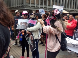 Ciudadanos y colectivos que se reunieron para exigirle al Congreso de la República por la protección de los animales.|Uno de los perros de la jornada|Intervención de María Adelaida Aristizabal|Ciudadana firmando el Derecho de Petición|||