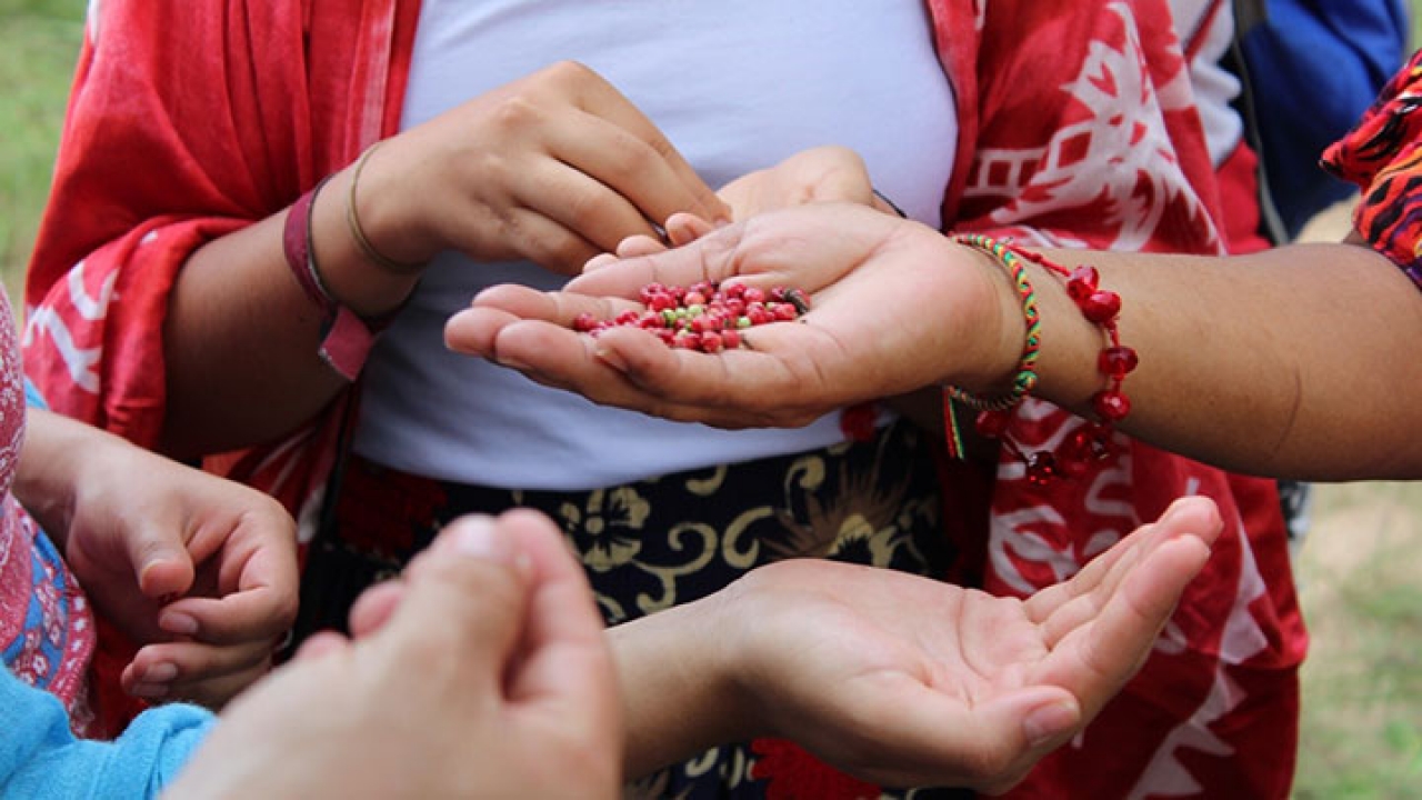 Estudiante de la Universidad del Rosario probando frutos del bosque seco de La Guajira|Matriarca de la Comunidad Laguna Grande tejiendo un chinchorro||Niña de la Comunidad La Guasima preparándose para hacer una presentación en el día de la raza|Matriarca de la Comunidad Laguna Grande tejiendo un chinchorro|Niños de la comunidad indígena La Guasima realizando baile típico|||