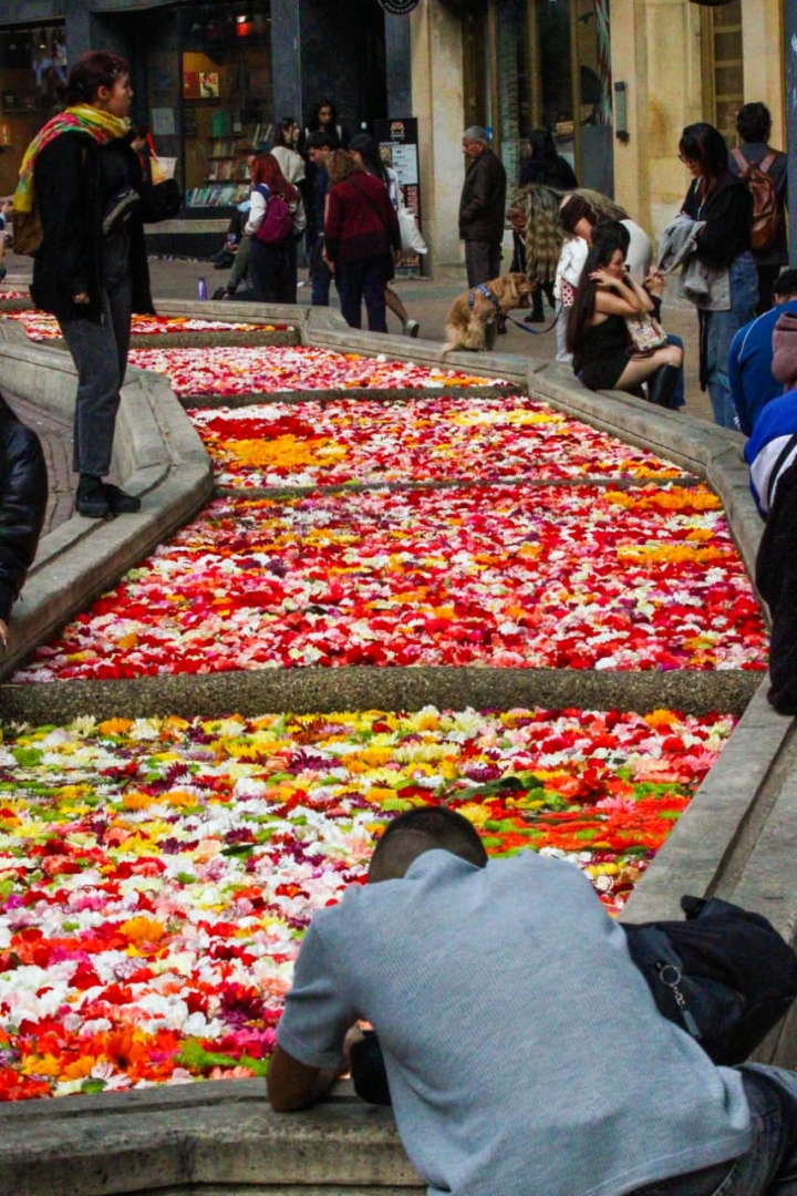 Esta exposición es solo la apertura de la Bienal que albergará artistas nacionales e internacionales