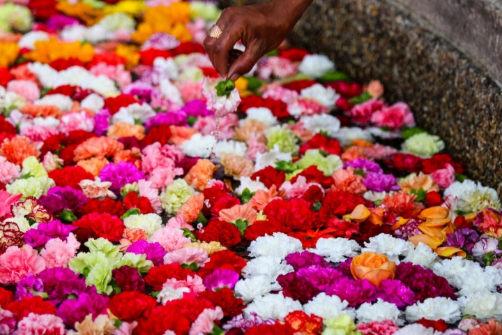 Diferentes personas se acercaron al río del Eje Ambiental para apreciar las diferentes flores colombianas