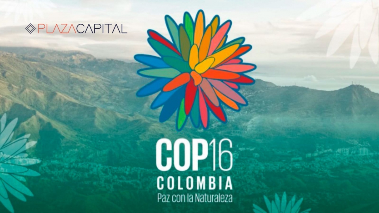 Still de la COP-16|||