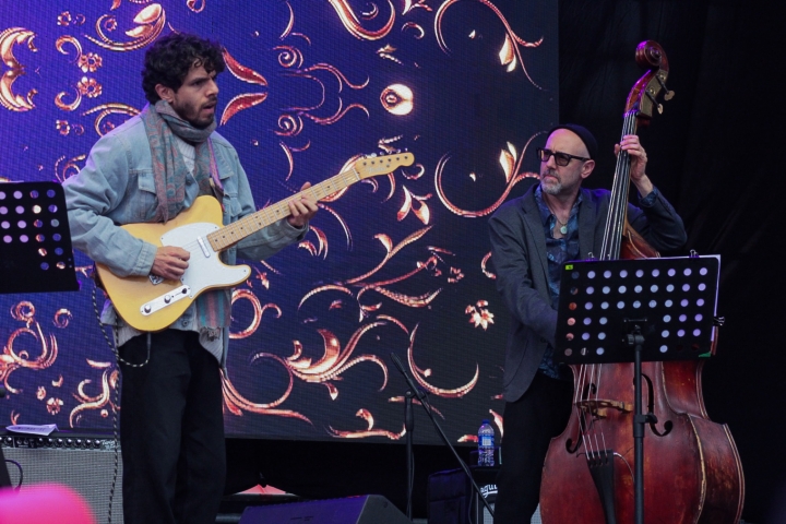 El contrabajo y la guitara electrica como una fusión de cuerdas en la canción