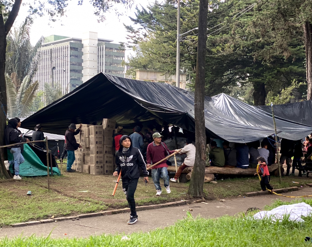 Asentamiento indígena en el Parque Nacional|Joven Embera al cuidado del asentamiento|Campamentos de las familias Embera|Expansión del asentamiento por el parque nacional|Tienda del asentamiento|Campamento Embera Katio parque nacional|||