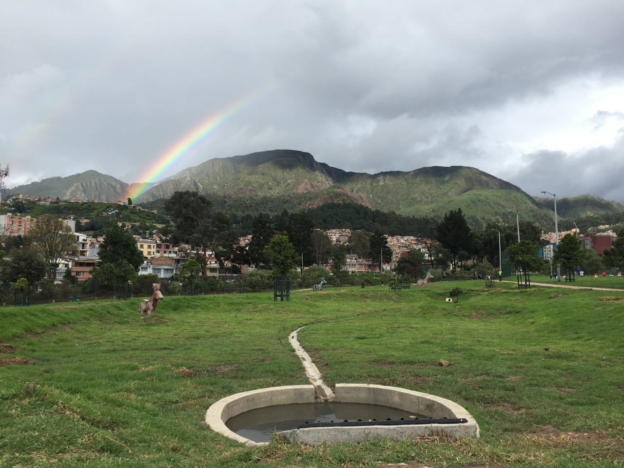 SUDS: la apuesta por una ciudad verde