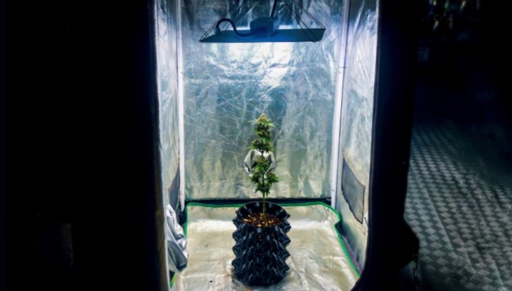 Estar&aacute; prohibido dentro de las instituciones educativas.