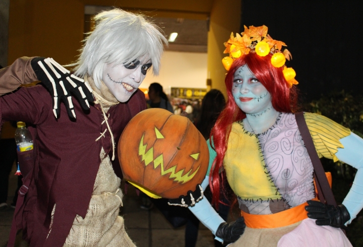 El SOFA celebra sus 10 a&ntilde;os