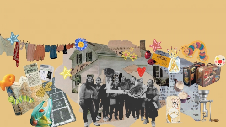 Montaje manzanas del cuidado