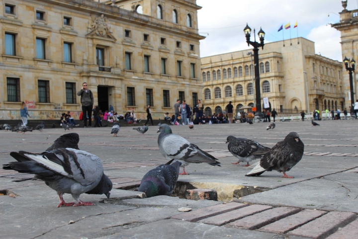 La Plaza de Bol&iacute;var es uno de los lugares m&aacute;s emblem&aacute;ticos de Bogot&aacute; y ayer se levantaron sus adoquines para ser usados en contra de la fuerza p&uacute;blica.